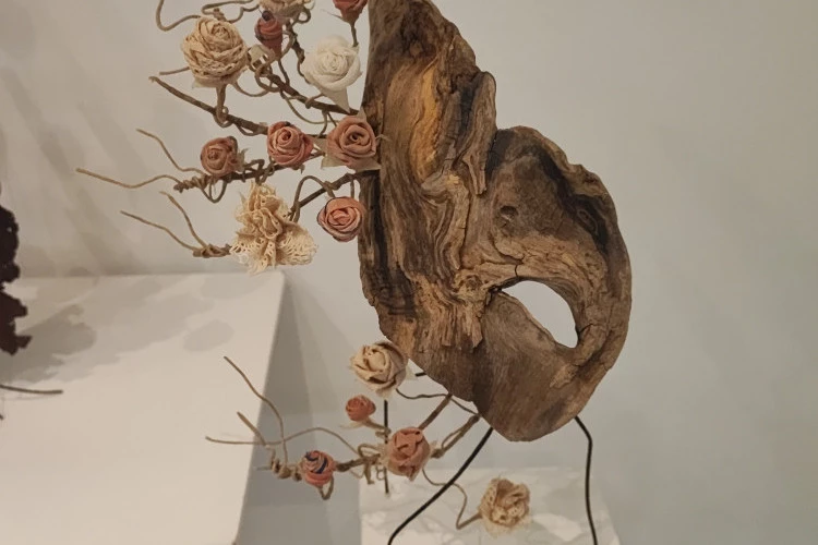 Rosier ancien - sculptures en bois flotté, tissu et fil de fer - Séverine Rousseau 2026 