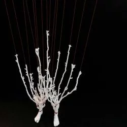 Pieds arbre - Pieds et branches en porcelaine, armature en métal et coton rouge. 2019 - Ernest de Jouy 