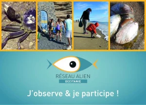 Affiche Sur les traces des globe-trotteurs du bord de mer