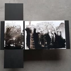 Autour des arbres - encre sur papier photo/composition / 60x45/ 2023