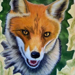 SAUVAGE - PASTEL SUR PAPIER PASTELMAT FORMAT 50 X 70 CM - 600 Euros 