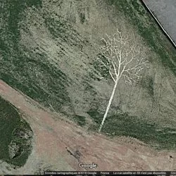 Ombre - Dessin in situ, chaux et eau, 30m x 15m - vue satellite, google maps 