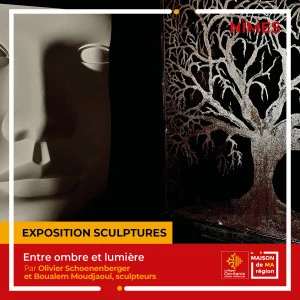 Affiche Expsosition virtuelle " Entre ombre et lumière "