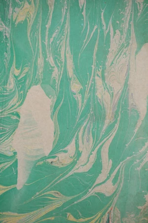 Affiche Greenwashing, de Xavier Antin et des élèves de l'Iscid de Montauban