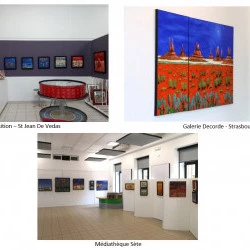 Michel RAUSCHER - Expositions