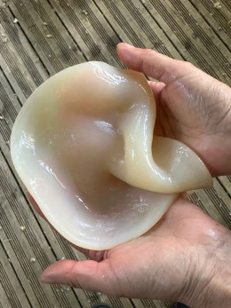 Cellulose bactérienne - <p>Biomatière élaborée par la symbiose entre bactéries et levures.</p> - Berta Ibáñez 2025
