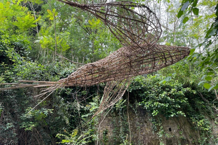 Exocet - Sculpture en clématite sauvage de Véronique Matteudi - Véronique Matteudi 