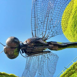 Libellule - Libellule géante de 4 m de haut et de 3,2 m de large, fabriquée en acier coloré et en métal recyclé.