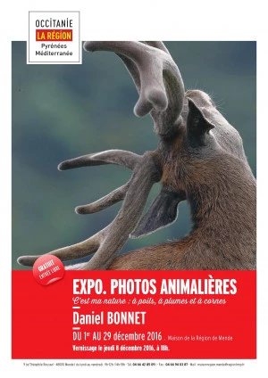 Affiche "C'est ma nature ; à poils, à plumes et à cornes"