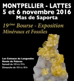 Affiche Bourse minéraux fossiles gemmes Lattes (34)