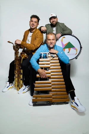 Affiche Banquet de l'été : Concert Deeplodocus Trio electro-débranché