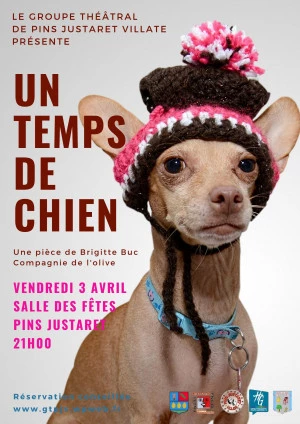 Affiche Un temps de chien