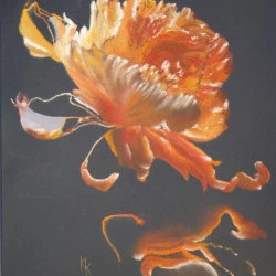 la pivoine orange - papier Paint On 50 x 65cm - divers bâtonnets et crayons
