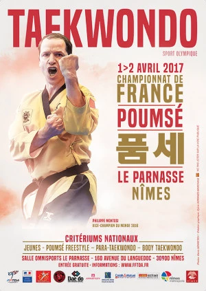 Affiche Championnat de France de Taekwondo 