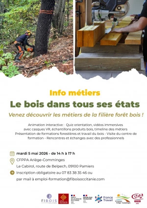 Affiche Information métiers : Le Bois dans tous ses états !