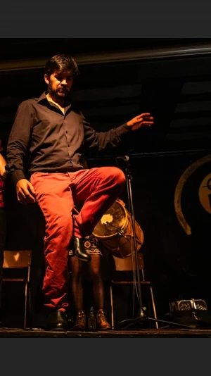 Affiche Danses et Percussions d'Argentine