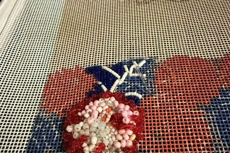 broderie - Quand la broderie, le tricot, le textile dépassent l'ornement et deviennent acte de mémoire… pour explorer les questions de la perte de la biodiversité…