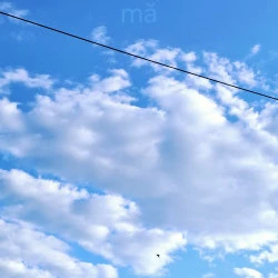 Mā - Photographie - ©Mā Thévenin 