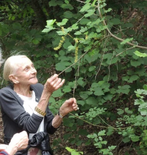 Affiche « Du vin d'Autan de Gaillac au Chambertin de Bourgogne » par Robert Plageoles