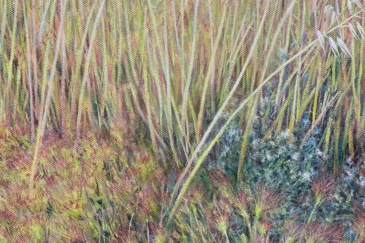 Folle avoine - huile sur toile 46x25