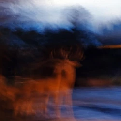 Automne - Philippe Cadu 