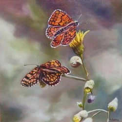 Elégance - Papillons (mélités du mélampyre) huile sur toile 30 x 30 cm - Photo personnelle 