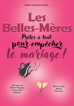 Affiche Les Belles-Mères