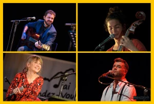 Affiche Le Pic enchanté