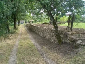 Affiche Randonnée pédestre