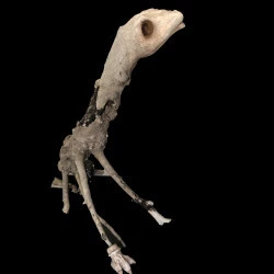 Jacquelin - bois flotté, plâtre et argile