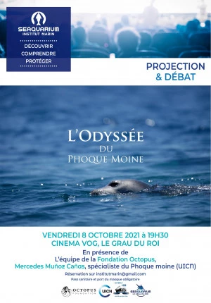 Affiche Odyssée du Phoques Moines - ciné conférence