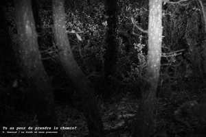 Affiche La Forêt où nous pleurons - Théâtre / Écritures actuelles / Musique live