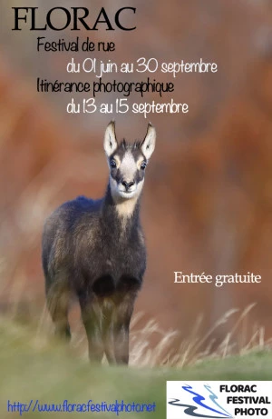 Affiche Florac Festival Photo