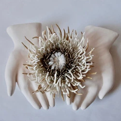 Fabuleuses natures, musée des beaux arts de Gaillac, 2025 - grès, porcelaine, jus de rouille, laine d'acier - violaine laveaux 