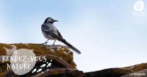 Affiche 18/04 - Éveil des sens sur le Chemin de la Biodiversité