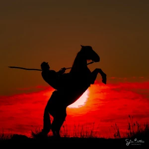 Affiche Exposition "Camargue, terre d'artisans" Un patrimoine vivant, des savoirs faire d'exception