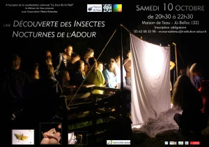 Affiche Les insectes nocturnes de l'Adour