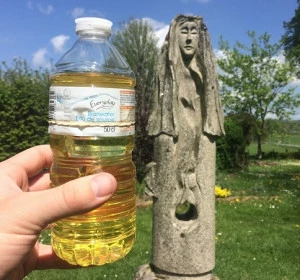 Affiche Bryan Campbell / Janitor of Lunacy : a Filibuster | La Biennale / Arts vivants / International