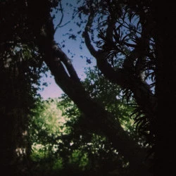 CONTEMPLATIO - ou être avec une portion de ciel - Projection - dimensions variables - Video couleur HD 16/9, son, 7:55 min - Crédit photo de l'artiste - extraction vidéo 