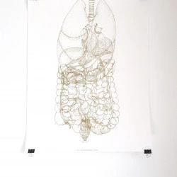Radiographie - sérigraphie, 50x70cm, 2019, radiographie - Irina P. 