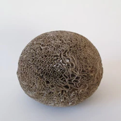 Véronique GRANDJACQUES - Véronique Grandjacques 