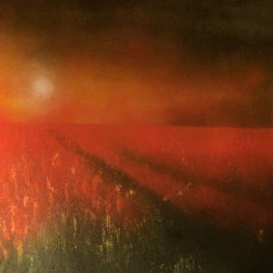 Coucher de soleil en Beauce RobinFP - acrylique sur toile 80*60