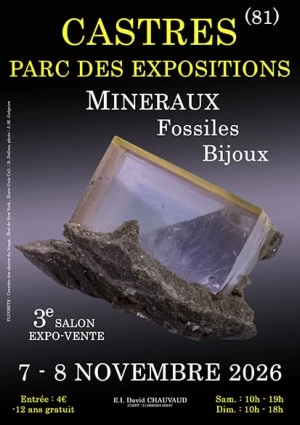 Affiche 3e SALON MINERAUX FOSSILES BIJOUX de CASTRES (Tarn)