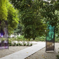 Les ondes silencieuses - Installation extérieure, tirage sur verres, métal - Éléna Salah 