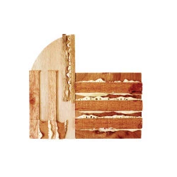 Simbu - mousse expansive et bois - 31 x 29 x 2 cm - 2021 - Léa Ducos 