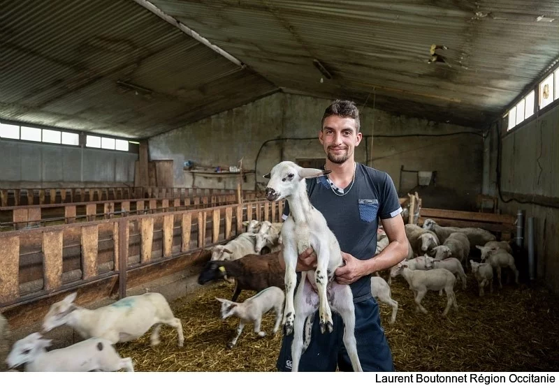 La Foncière agricole Occitanie donne un coup de pouce aux agriculteurs pour les aider à s'installer en Occitanie