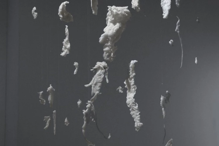 Mémoire d'eau - Installation. Cire blanche liquide figée dans le ruisseau de Hourquets, éléments suspendus, dimensions variables. Produite dans le cadre d'Estives en résidence, Guran. - @ADAGP Lorène Roustin 