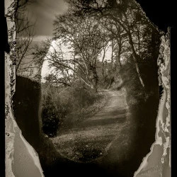 Lac de Miquelou, Graulhet - Sténopé argentique 40x50 cm 2017 - oeildepierre 