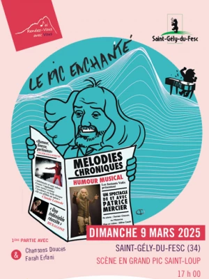 Affiche Le Pic enchanté 2025 