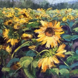 Tourne Sol - Papier Uart noir pour ce champs de Tournesol - 40x40 - Martine Tulet 